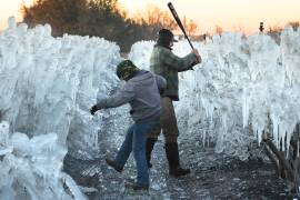 Aunque nevó en 2025 en la región del Panhandle, en el noroeste de Florida, esta vez la nieve llegó más al sur del estado, lo que no ocurría en décadas. FOTO: