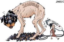 Trasquilada a la seguridad