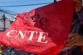 En estos paros de actividades, sus demandas se han centrado en la abrogación de la Ley del ISSSTE de 2007 para sustituir las cuentas individuales por el régimen solidario y calcular pensiones en pesos.