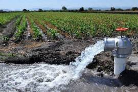 Conagua detectó 52 mil permisos irregulares usados para saqueo, inmobiliarias y hasta balnearios.