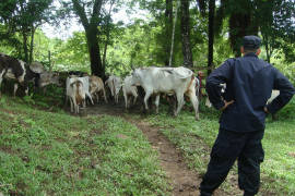 Lanzan nueva policía en Monclova: van contra el robo de ganado y es única en el País