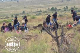 Voluntarios participarán este domingo en una jornada de reforestación en la Sierra de Arteaga.