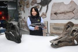 Martha Aguillón, paleontóloga coahuilense, explica que el hallazgo del Xenovenator espinosai es resultado de años de investigación, revisión de materiales antiguos y del uso de tecnología avanzada que permitió reinterpretar fósiles clave para la ciencia.