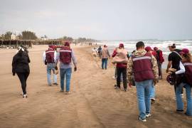 Se han inspeccionado siete buques en los puertos de Coatzacoalcos, Dos Bocas y Tampico.