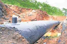 En los últimos 10 años, los registros muestran un crecimiento notable a partir de 2019, con picos en 2023, 2024 y 2025.