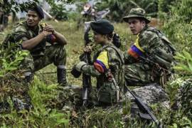 Se unen las FARC al Mannequin Challenge