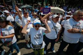 Los manifestantes argumentan que la reforma, tal y como está planteada, socavaría la independencia judicial y sometería al Poder Judicial a intereses políticos