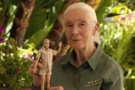 Mattel poso a la venta su nueva Barbie ‘Jane Goodall’, que es un tributo a la etóloga británica experta en primates, la muñeca está fabricada con un 75 % de plástico reciclado de los océanos.