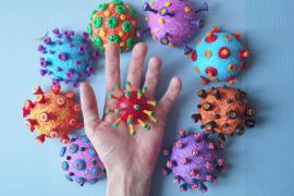 Entre las enfermedades que han resurgido “atípicamente” aparecen la influenza y algunos virus respiratorios como el RSV