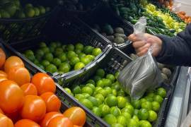 Los alimentos siguen presentando las mayores alzas de precios, destacando sobre todo las frutas y hortalizas frescas.