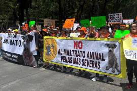 En varias ciudades del país se exigió incluir a los animales como seres sintientes en la Constitución, y que el maltrato y crueldad animal sean delitos graves