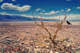 De acuerdo al informe, las señales y las consecuencias del cambio climático son cada vez más alarmantes.