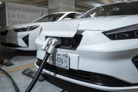 A nivel nacional, del mes de enero a marzo de este año, se vendieron alrededor de 40 mil unidades, lo que significó un aumento de más del 30%.