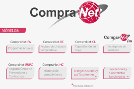 A través de un comunicado, la Coparmex pidió la intervención de la Secretaría de la Función Pública (SFP), para resolver el problema a la brevedad, argumentando que es urgente reactivar el sistema