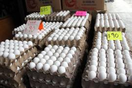 Al tener un alto valor nutricional, el huevo se suele consumir frecuentemente en México, pero va en aumento su precio.