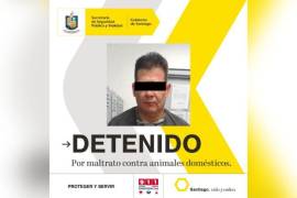 Felipe “N” fue detenido el pasado 3 de marzo bajo el cargo de maltrato animal