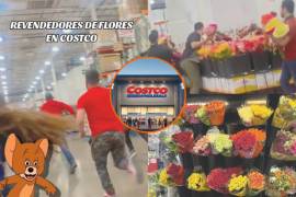 Revendedores se llevan todas los ramos de Costco.