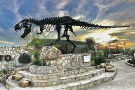 Especialistas darán a conocer detalles del descubrimiento durante una presentación abierta al público en el Museo del Desierto.