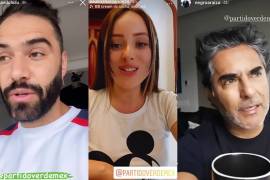 Castigarían al PVEM para que “le duela” realizar las mismas prácticas con famosos e influencers