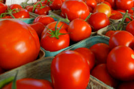 Productores de tomate mexicanos buscarán evitar arancel de 17.5% en EU