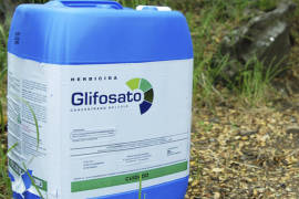 Agrupaciones campesinas no quieren glifosato, herbicida propuesto por Gobierno