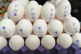 El encarecimiento del huevo no es una situación que únicamente esté afectando a México, comenzó en Estados Unidos por el tema de la epidemia de gripe aviar