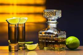 El tequila emerge como un verdadero emblema nacional, reconocido y apreciado en todo el mundo por su inconfundible sabor y su profundo arraigo cultural e histórico.
