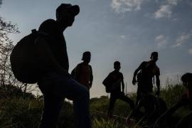 El excomisionado del Instituto Nacional de Migración (INM), Tonatiuh Guillén López, califica el desplazamiento de familias de sus lugares de origen como una “tragedia”.