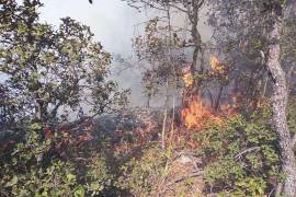 Al menos siete conatos de incndio a causa de tormentas eléctricas han ocurrido en las últimas dos semanas en la Sierra de Arteaga.