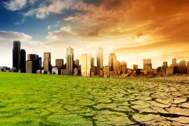 Ciudades, principales contribuyentes del cambio climático: senadora