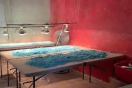 El estudio al que hace referencia el reporte tiene fecha del 8 de abril de 2024 y fue elaborado por la Secretaría de Salud.