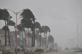 Mayliz Esparza agregó que aunque el aumento de casos puede ser por el inicio de lluvias, las cuales se han prolongado, en la zona Costa no ha habido un aumento de casos.