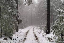 El pronóstico de Protección Civil advierte sobre una posible nevada más intensa para el viernes 8 de noviembre, debido a la interacción de una masa de aire frío con una vaguada polar y la corriente en chorro polar.