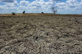 Una sequía puede afectar los precios de algunos productos agropecuarios e incluso eso pudo haber impacto ya a finales del año pasado.