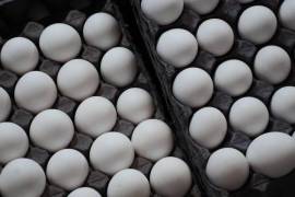 Aunque Estados Unidos no permite la importación de huevos crudos desde México debido al riesgo sanitario, desde febrero del año pasado enfrenta un brote de influenza aviar