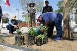 Activistas y pobladores de Anenecuilco, Morelos siembran plantas de cannabis en plaza cívica