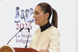 La presidenta Claudia Sheinbaum criticó a la oposición por cuestionar el programa Chocolate Bienestar y los invitó a “subir el nivel de su crítica”, al considerar “muy lamentables” sus señalamientos.