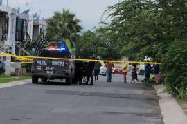 Policías de Tlajomulco acudieron al lugar y encontraron el cuerpo con múltiples huellas de violencia y heridas de arma punzocortante en la cabeza.