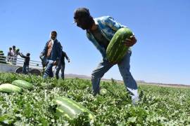 Los principales factores en contra del desempeño agropecuario con la sequía, el crimen organizado y principalmente las políticas públicas, según investigador.