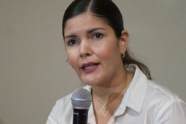 Merary Villegas Sánchez, de Morena, es quien planteó la iniciativa