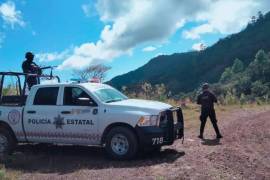 Acusaron que estas localidades han sido atacadas con drones artillados operados por presuntos integrantes de La familia michoacana