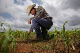 Autoridades federales exhortan a regularizar concesiones para mantener apoyos energéticos.