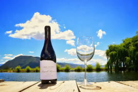 Turistas recorrieron los diferentes viñedos del estado, disfrutando de la vendimia y la gastronomía local.