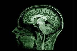 Los investigadores descubrieron que un mal funcionamiento del sistema que se encarga de limpiar el cerebro podría ser la causa de diversas patologías neurodegenerativas, tales como el alzhéimer.