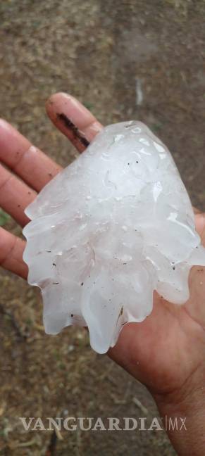 Registra Anáhuac, Nuevo León, caída de grandes bolas de granizo