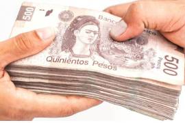 La dependencia informó que los recursos se concentraron principalmente en el apoyo a micro, pequeñas y medianas empresas.