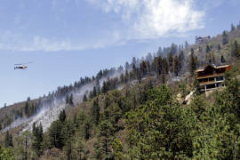 Luchan 163 brigadistas contra incendio forestal en sierra de Arteaga