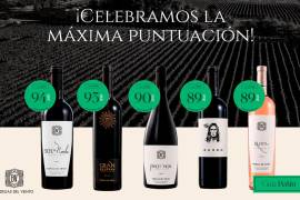 Cuando nadie apostaba por la Sierra de Arteaga, nació un vino que cambió la historia. FOTO: CORTESÍA