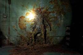 The Last of Us se inspira en un subgénero en concreto, el Ophiocordyceps unilateralis, más conocido como el ‘hongo de las hormigas zombi