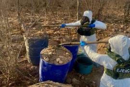 Operativos forman parte de las acciones de las Fuerzas Armadas para debilitar las estructuras de producción de drogas sintéticas .